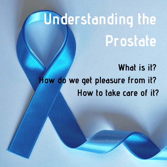 Understanding the Prostate - Adult Planet - Online Sex Toys Shop UK