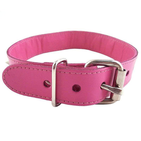 Rouge Garments Pink Studded ORing Studded Collar - Adult Planet - Online Sex Toys Shop UK
